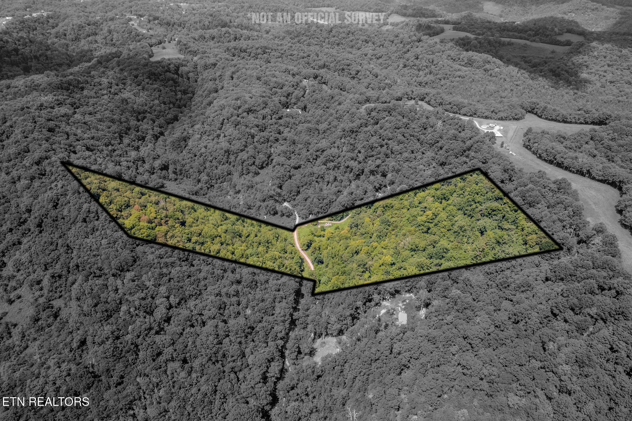 21.03-ac Watts Hollow Road Buffalo Valley, TN 38548 - Photo 11 of 16 Watts Hollow-6 copy