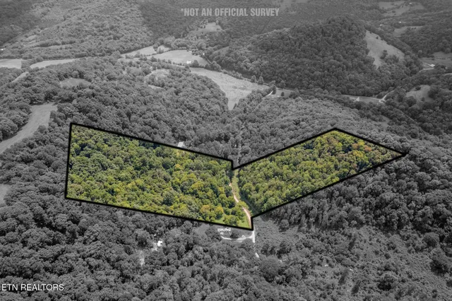 $165,000 | 21.03-ac Watts Hollow Road, Buffalo Valley, TN 38548