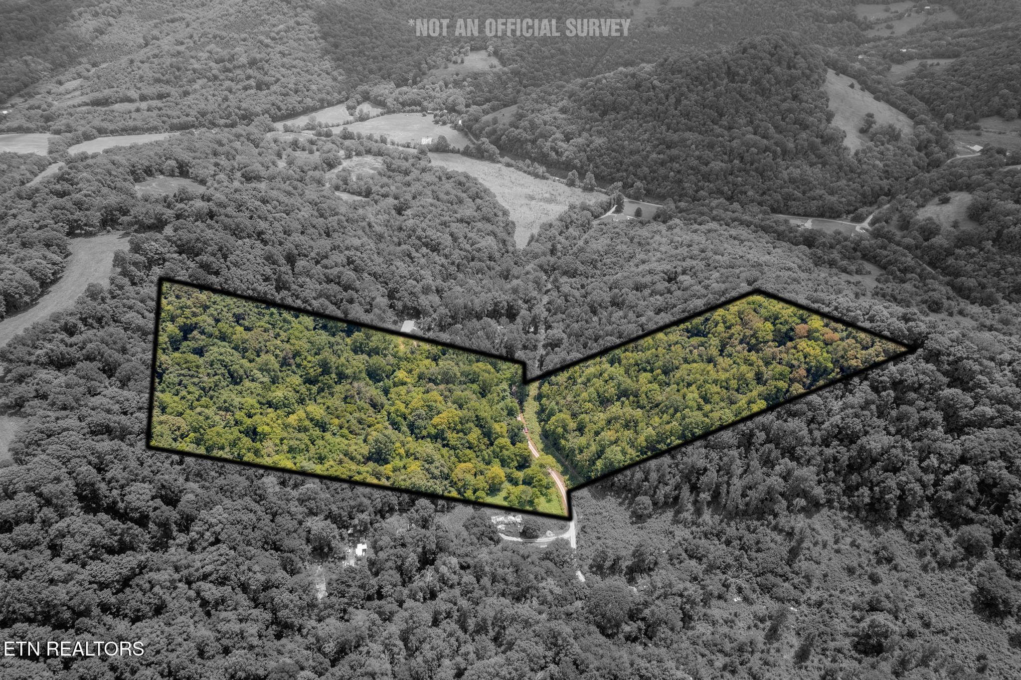 21.03-ac Watts Hollow Road Buffalo Valley, TN 38548 - Photo 13 of 16 Watts Hollow-7 copy