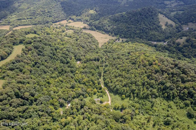 $165,000 | 21.03-ac Watts Hollow Road, Buffalo Valley, TN 38548