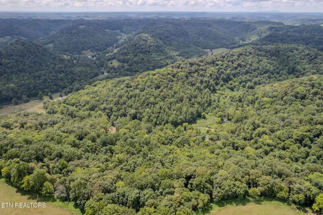 $165,000 | 21.03-ac Watts Hollow Road, Buffalo Valley, TN 38548