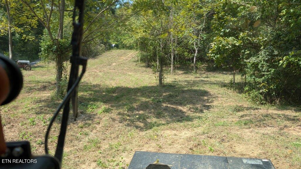 21.03-ac Watts Hollow Road Buffalo Valley, TN 38548 - Photo 3 of 16 270818066