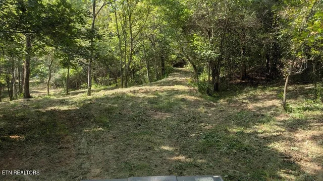 $165,000 | 21.03-ac Watts Hollow Road, Buffalo Valley, TN 38548