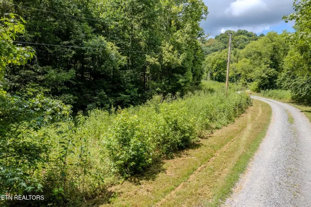 $165,000 | 21.03-ac Watts Hollow Road, Buffalo Valley, TN 38548