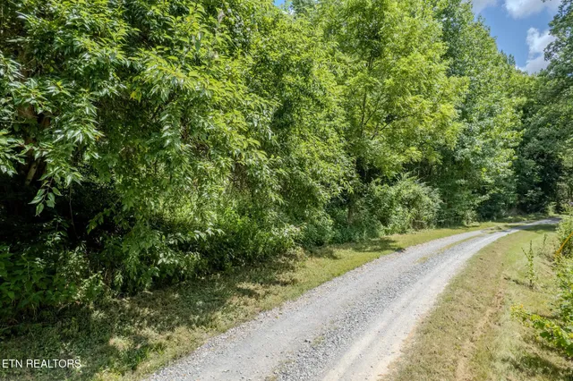 $165,000 | 21.03-ac Watts Hollow Road, Buffalo Valley, TN 38548