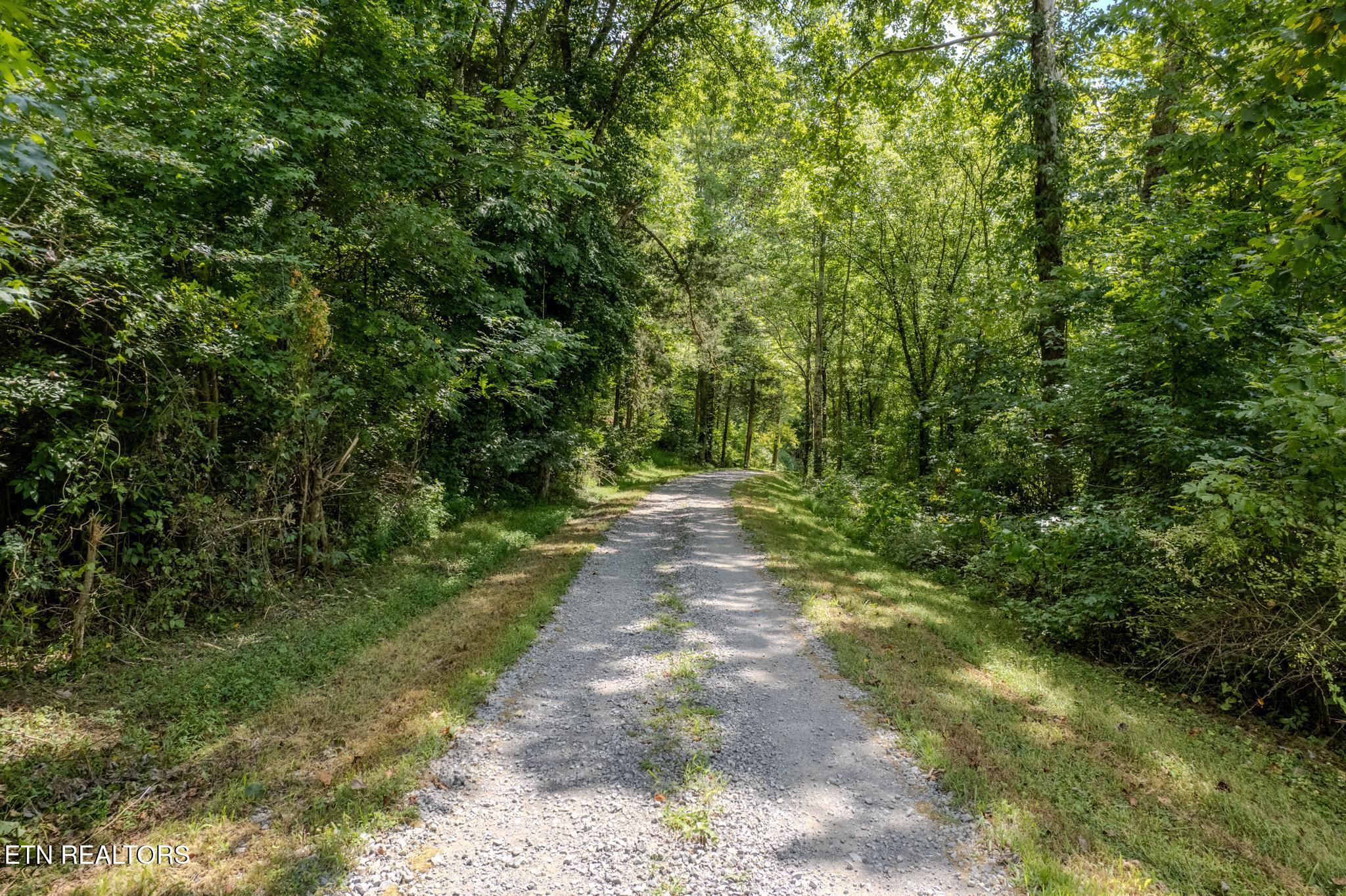 21.03-ac Watts Hollow Road Buffalo Valley, TN 38548 - Photo 8 of 16 Watts Hollow-3
