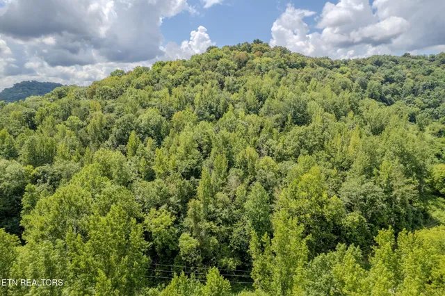 $165,000 | 21.03-ac Watts Hollow Road, Buffalo Valley, TN 38548