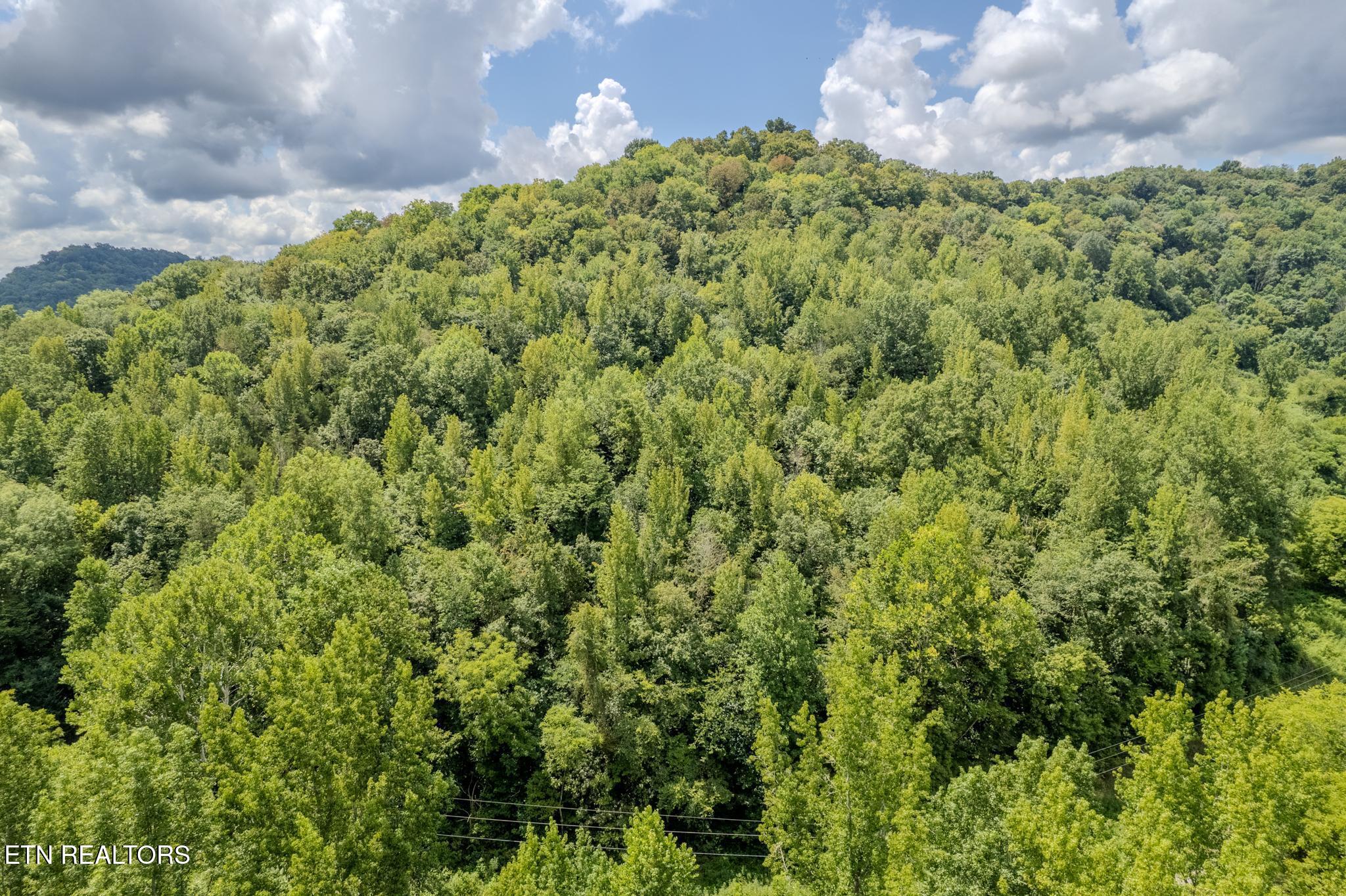 21.03-ac Watts Hollow Road Buffalo Valley, TN 38548 - Photo 10 of 16 Watts Hollow-5