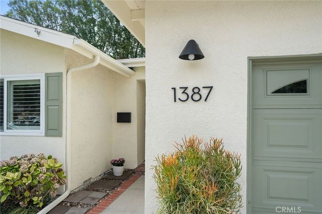 a view of a potted plant in front of a door
