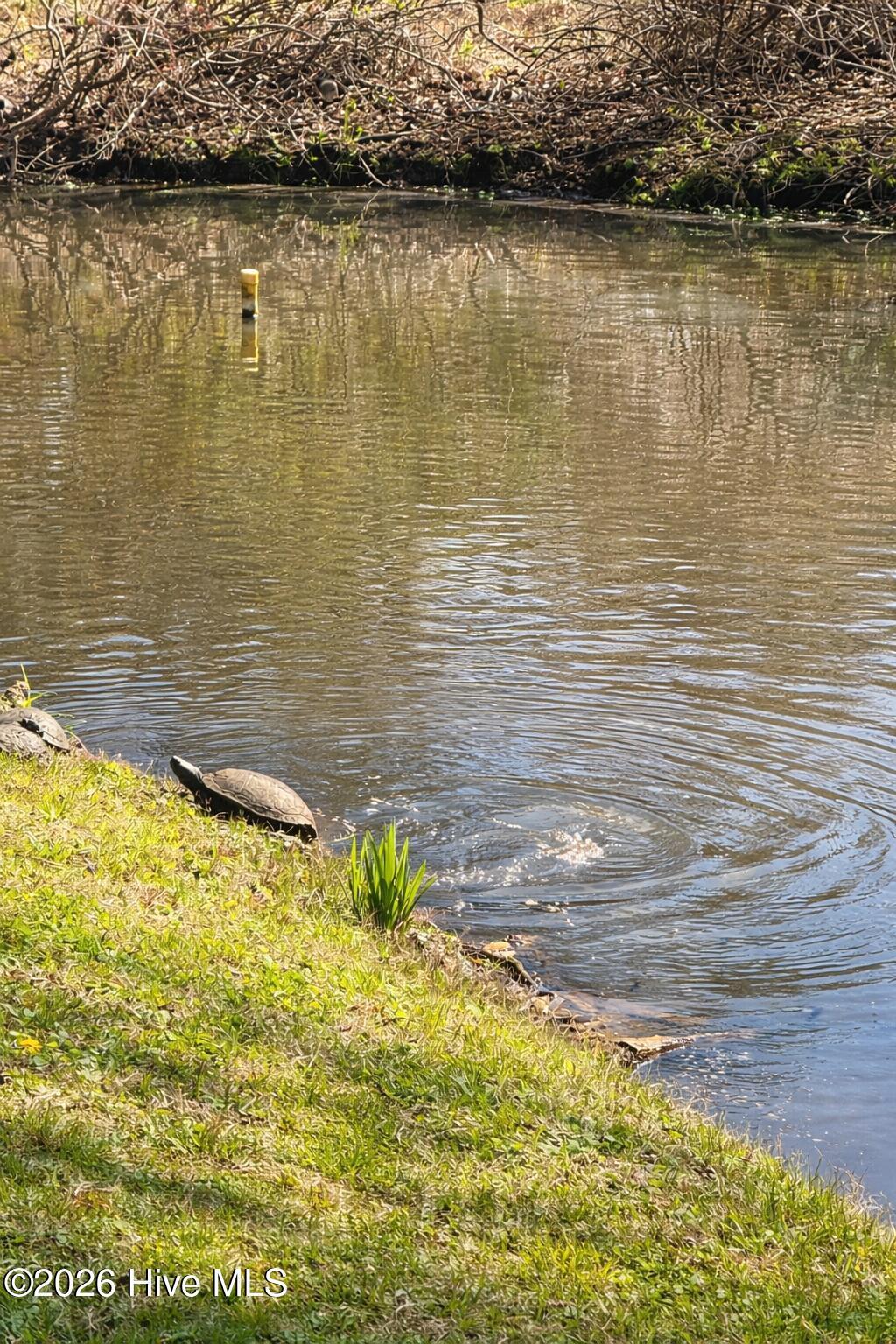 330 Cape Lookout Loop Emerald Isle, NC 28594 - Photo 56 of 80 pond at clubhouse ( Severald ponds are maintained by Town OF Emerald Isle inside of Cape Emerald