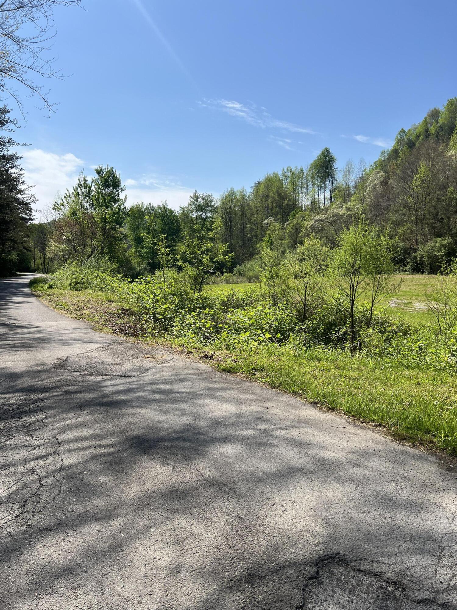 397 Miller Branch Road Bimble, KY 40915 - Photo 23 of 26 MBR22