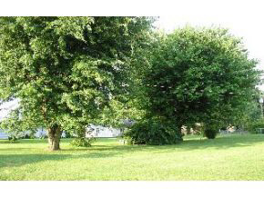 4082 West Broadway Avenue Bloomington, IN 47404 - Photo 4 of 4