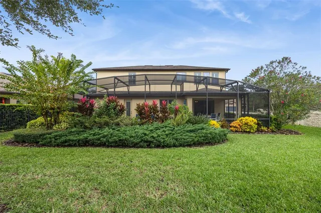 a view of a backyard with potted plants and large tree