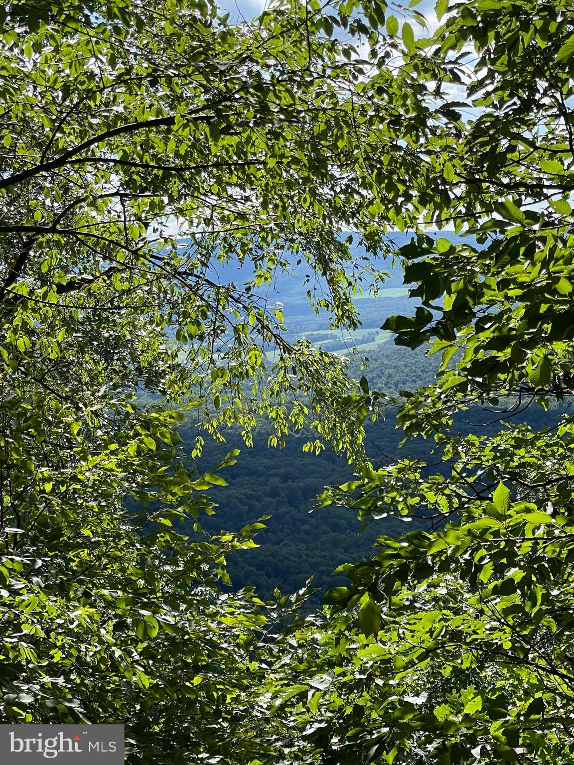 Lot 3 Gobbler Road Hedgesville, WV 25427 - Photo 11 of 13 Views coming up Swinging Bridge Rd