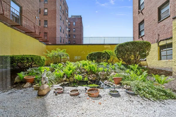 a view of a backyard with plants