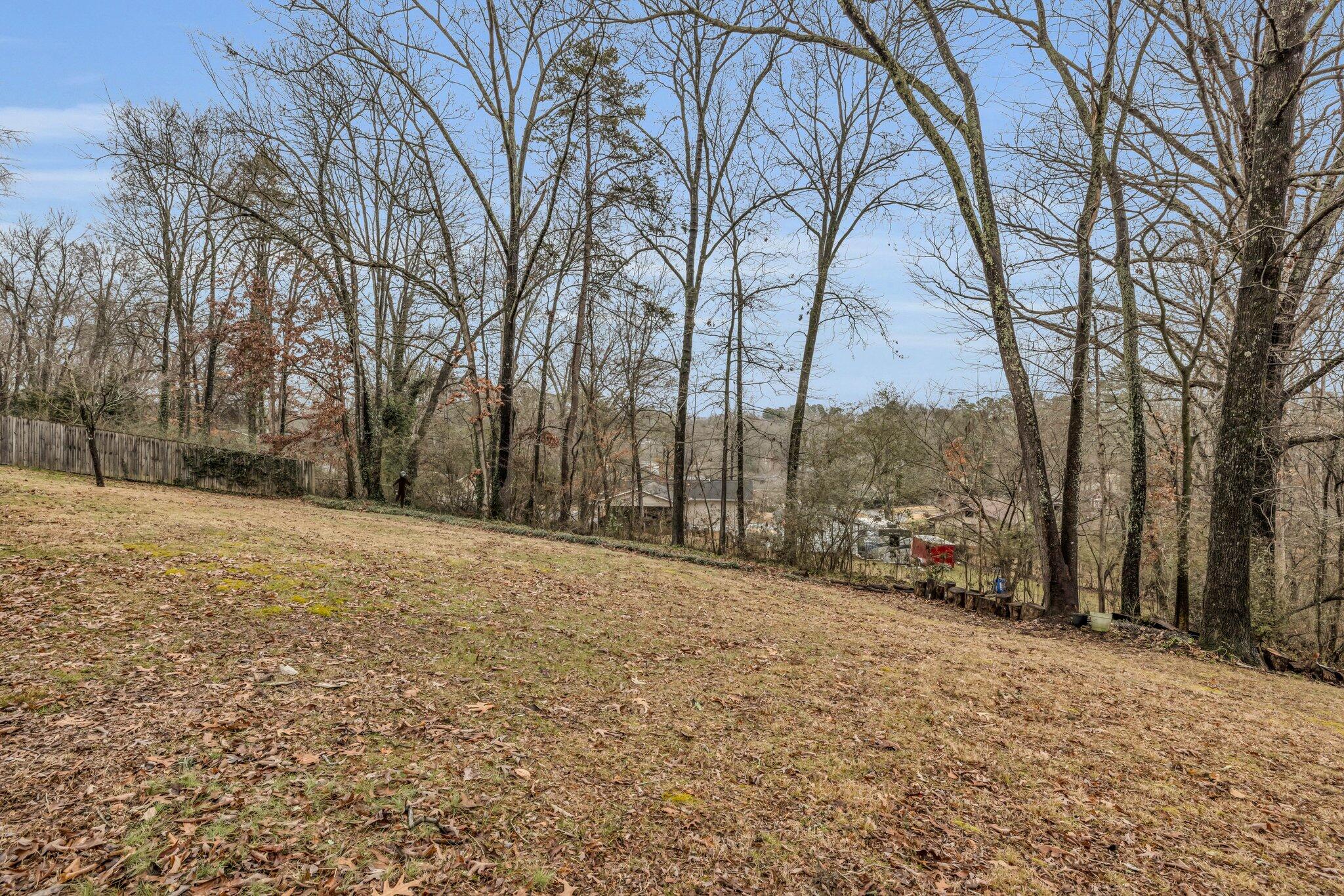 8820 Nelson Road Soddy-Daisy, TN 37379 - Photo 6 of 25 8820 Nelson Rd