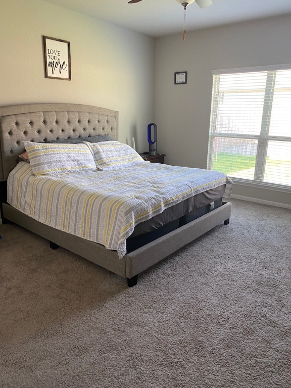 2034 Brisbane Way Bryan, TX 77807 - Photo 13 of 26 a large bed sitting in a bedroom next to a window