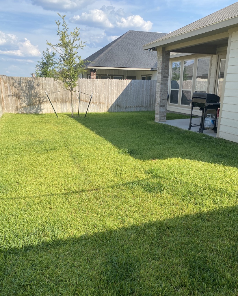 2034 Brisbane Way Bryan, TX 77807 - Photo 24 of 26 a view of a backyard with a garden and plants