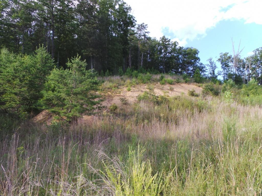 0 High Rock Road Rogersville, TN 37857 - Photo 5 of 20 Photo 5