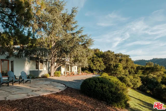 a view of a road with a tree in the background