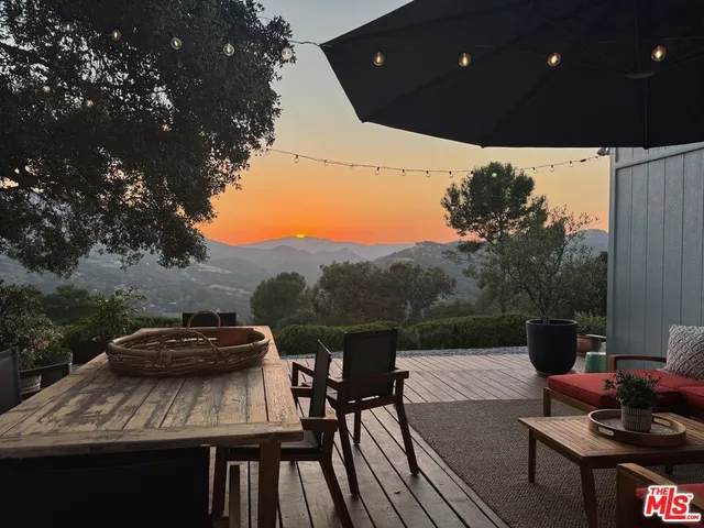 a view of a garden with plants