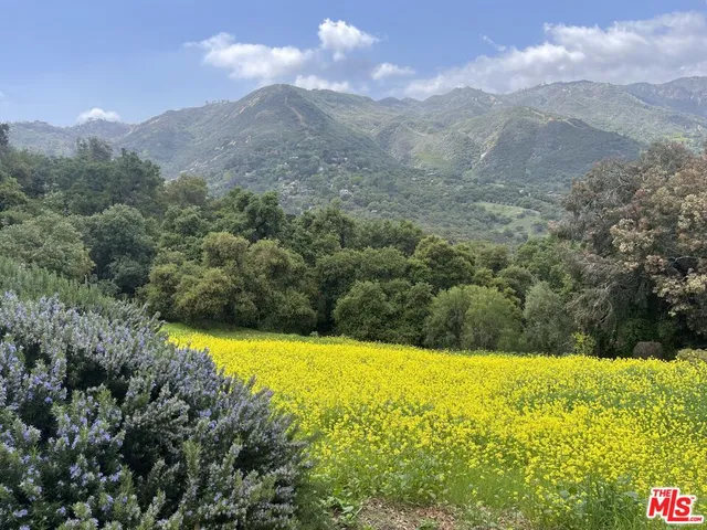 a view of a yard with a lake view