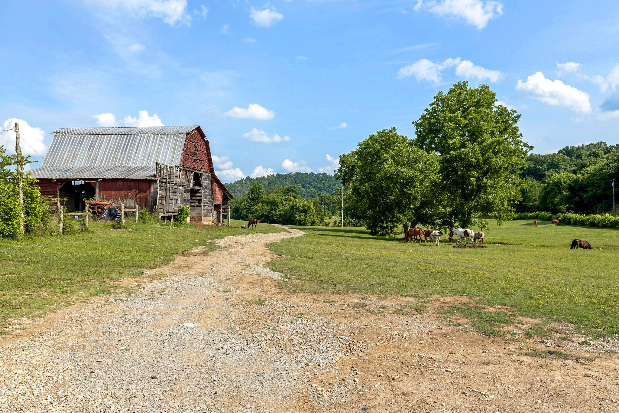 2294 Talley Road Belfast, TN 37019 - Photo 1 of 40 Gallery Image 1