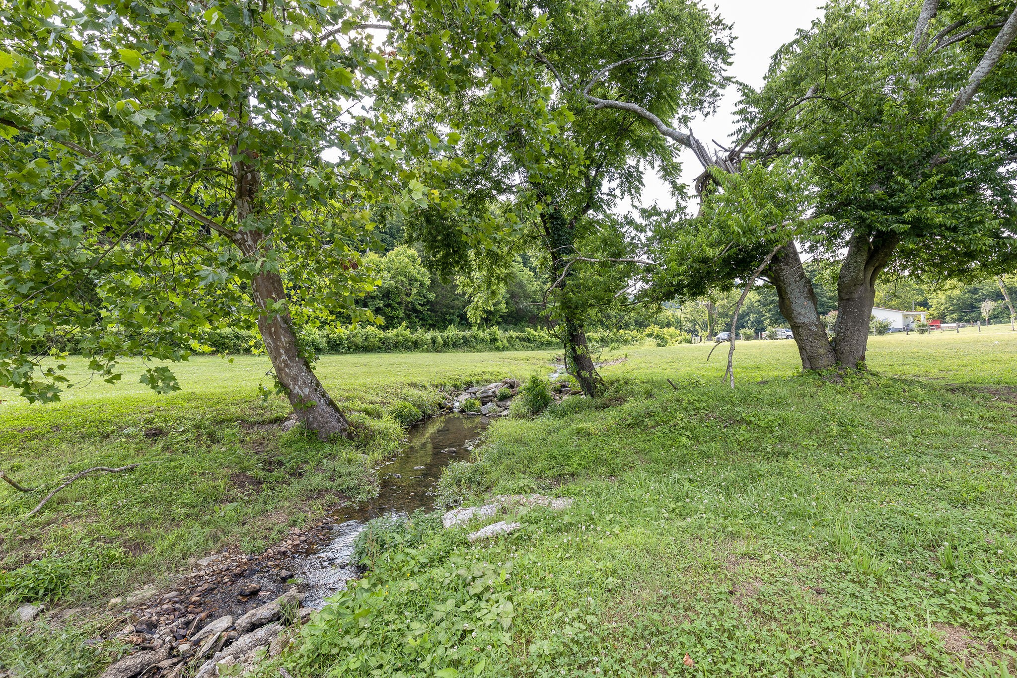 2294 Talley Road Belfast, TN 37019 - Photo 29 of 40 Gallery Image 29