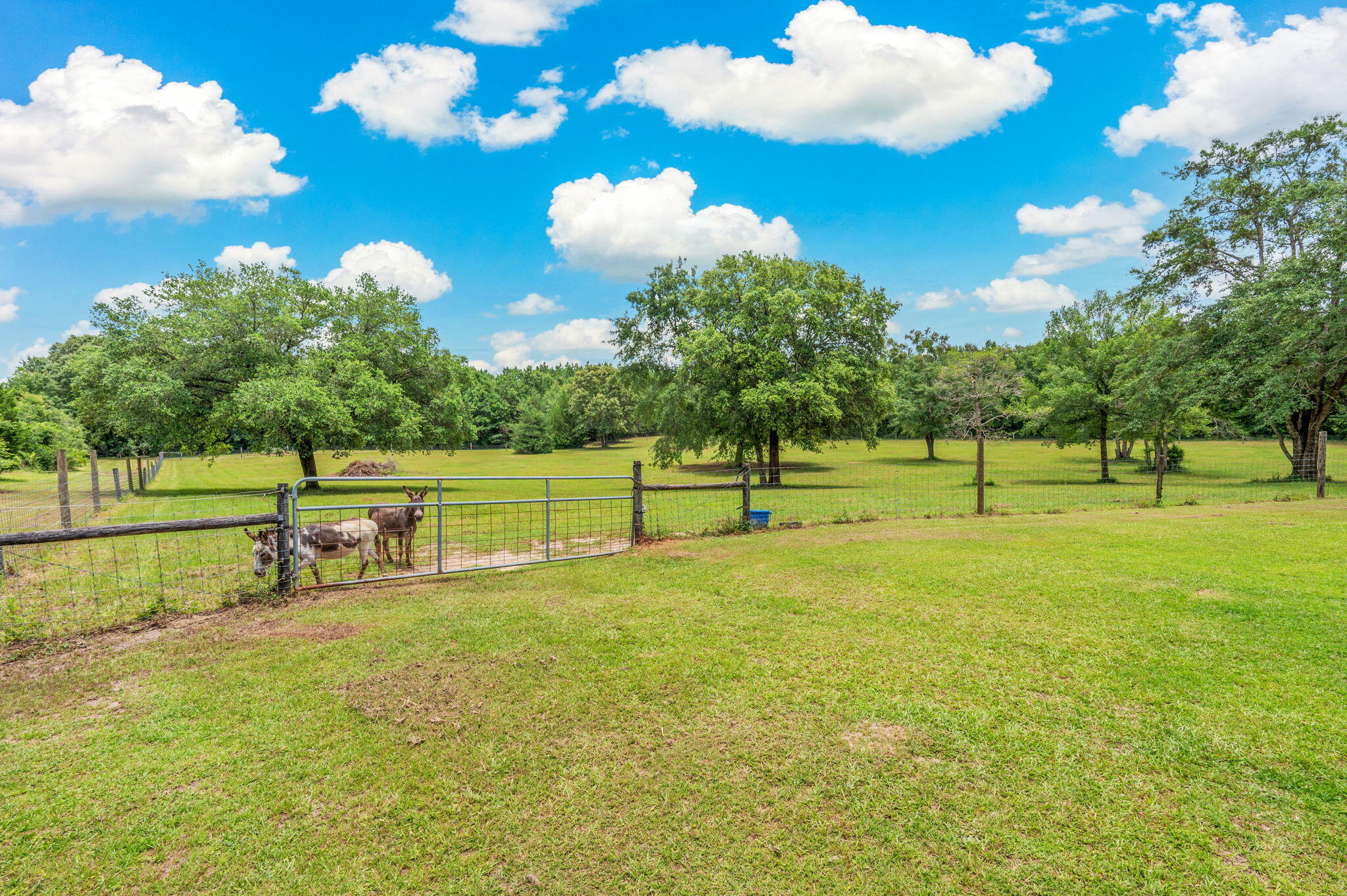 652 Tommy Eiland Road Baker, FL 32531 - Photo 85 of 98 84-web-or-mls-652-tommy-eiland-rd