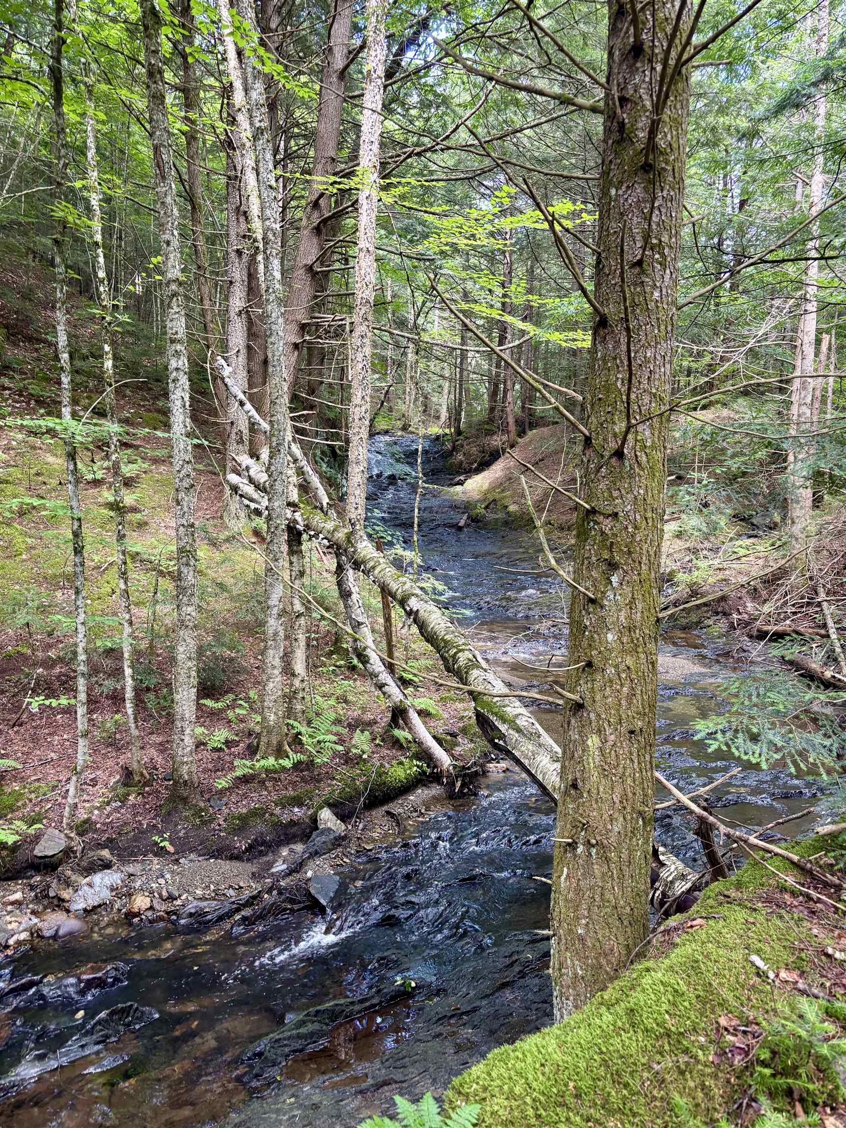 Tbd Wilder Road, Unit 2 Waterbury, VT 05676 - Photo 24 of 25