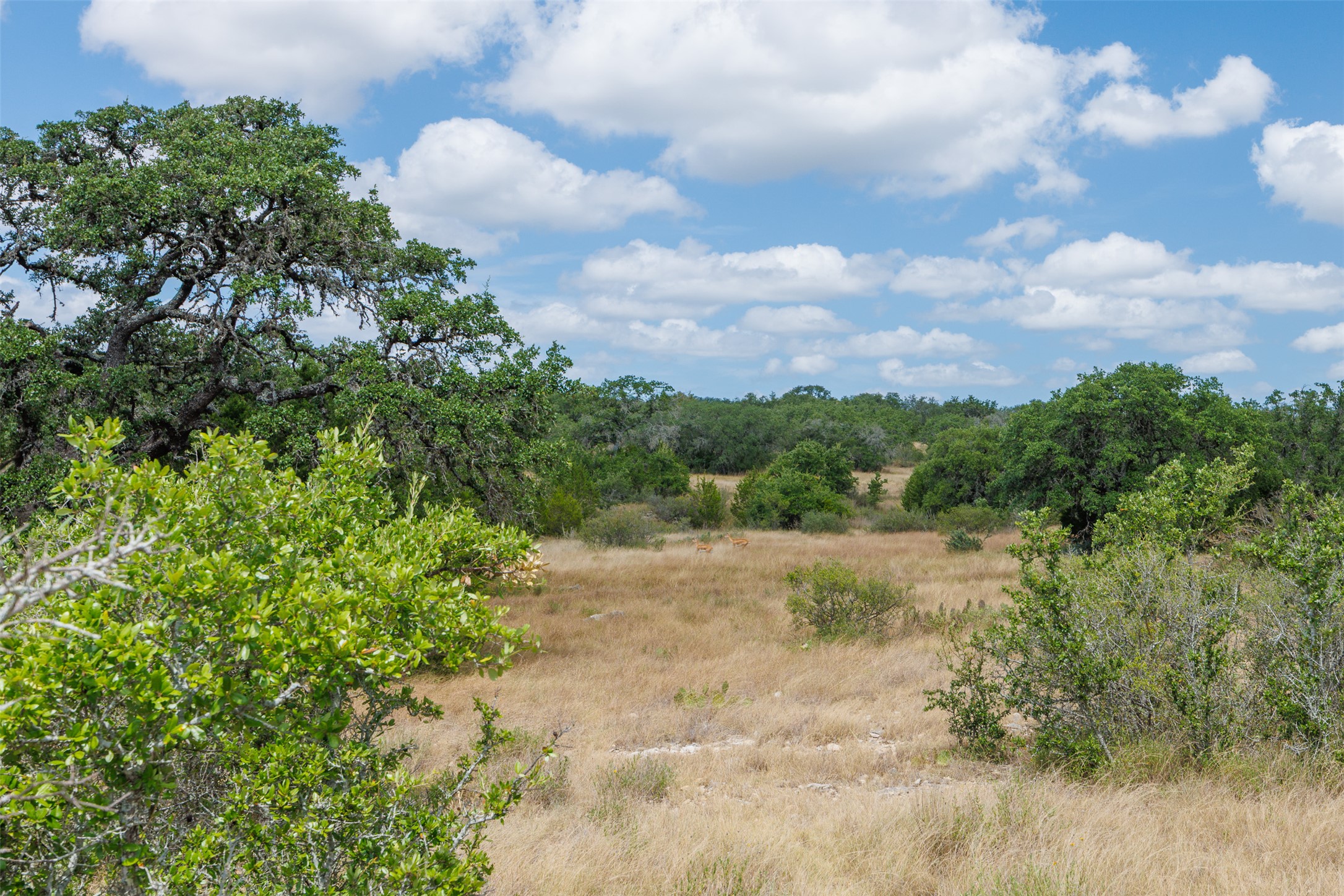 Lot 7 Summit Ridge Trail Johnson City, TX 78636 - Photo 9 of 17 Gallery Image 9