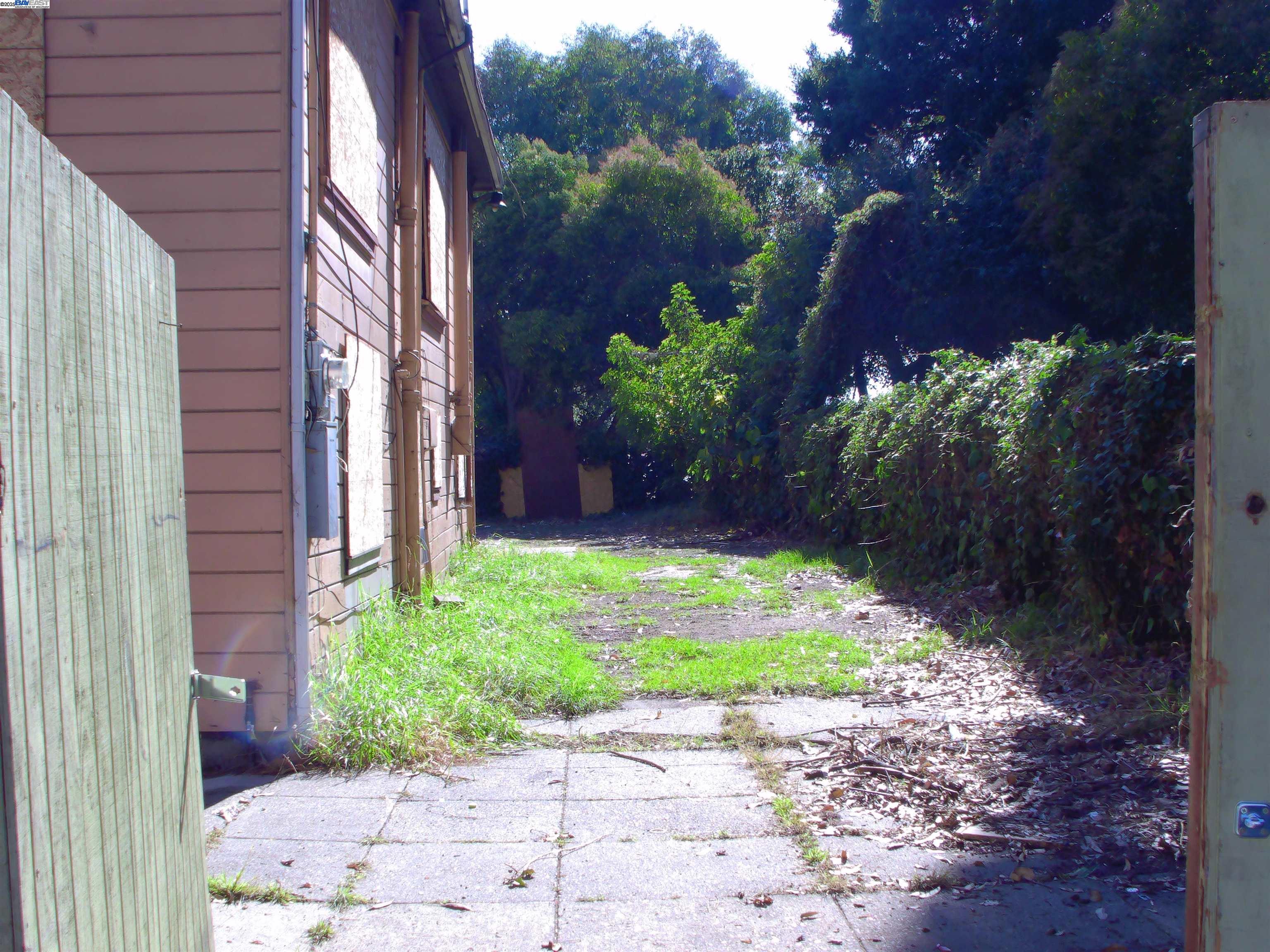 577 48th Street Oakland, CA 94609 - Photo 2 of 11 a view of a backyard with plants
