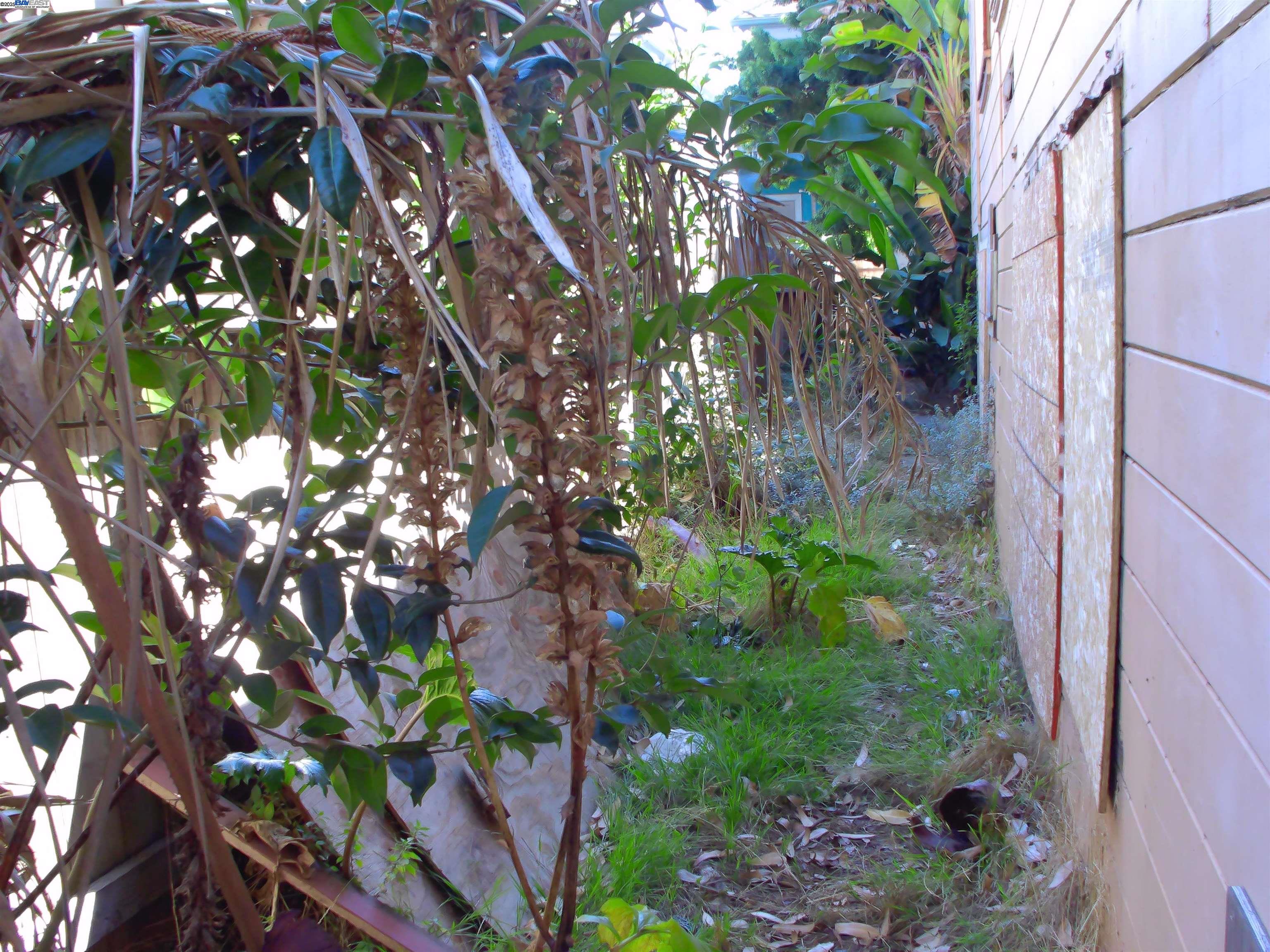 577 48th Street Oakland, CA 94609 - Photo 4 of 11 a backyard of a building