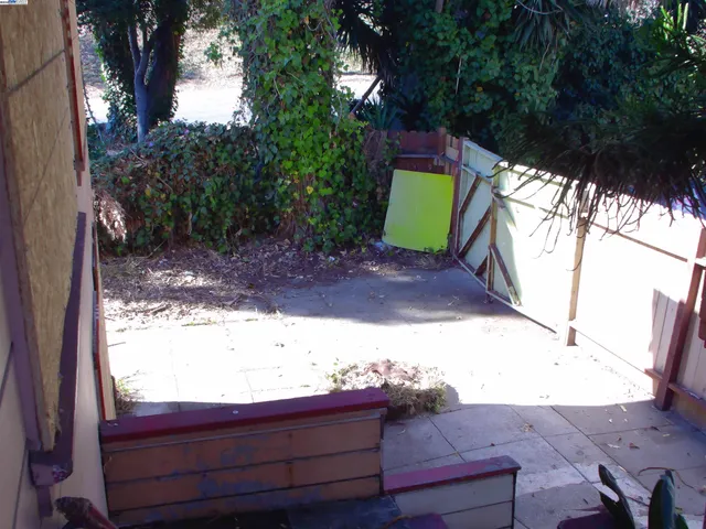 a view of a yard with a tree