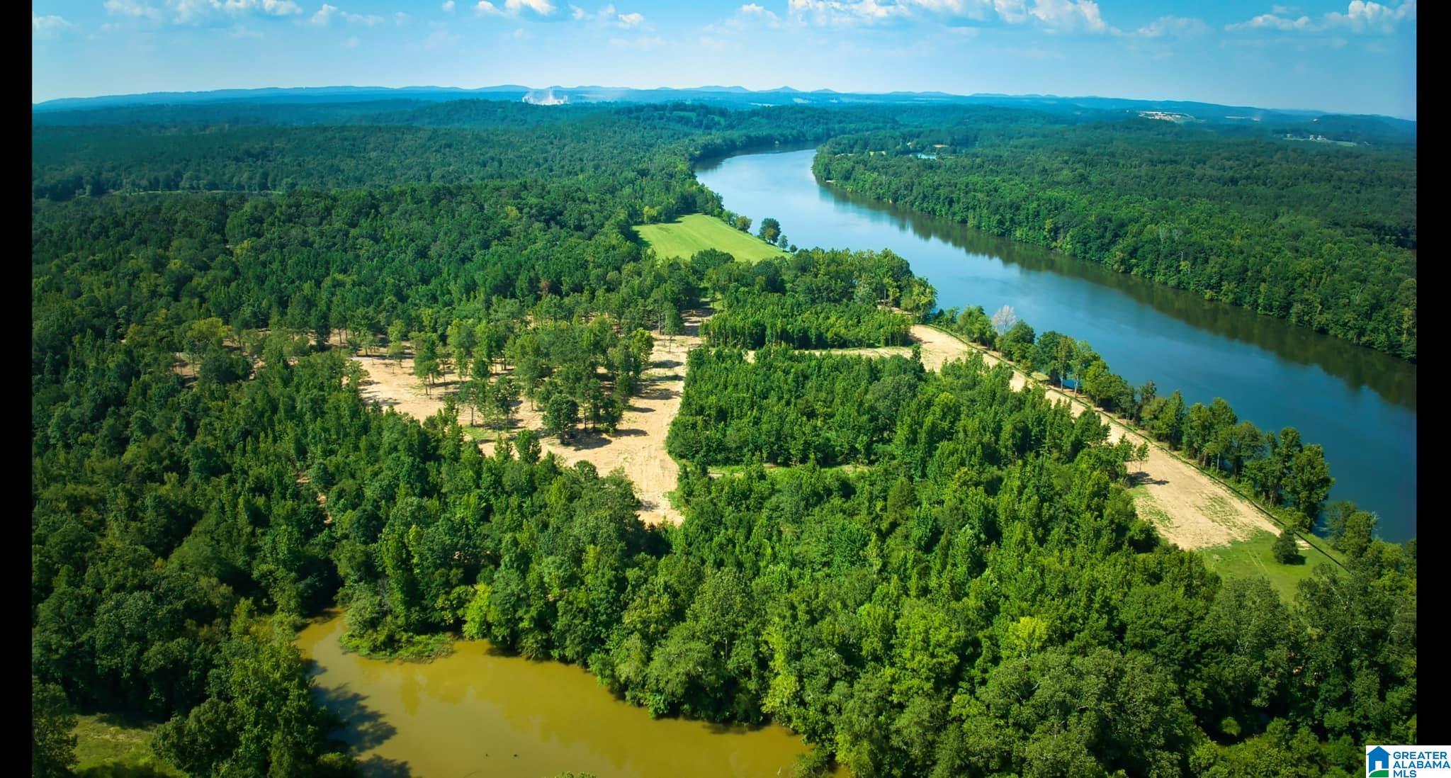 Lot 25 Wester Road, Unit LOT 25 Ragland, AL 35131 - Photo 9 of 27