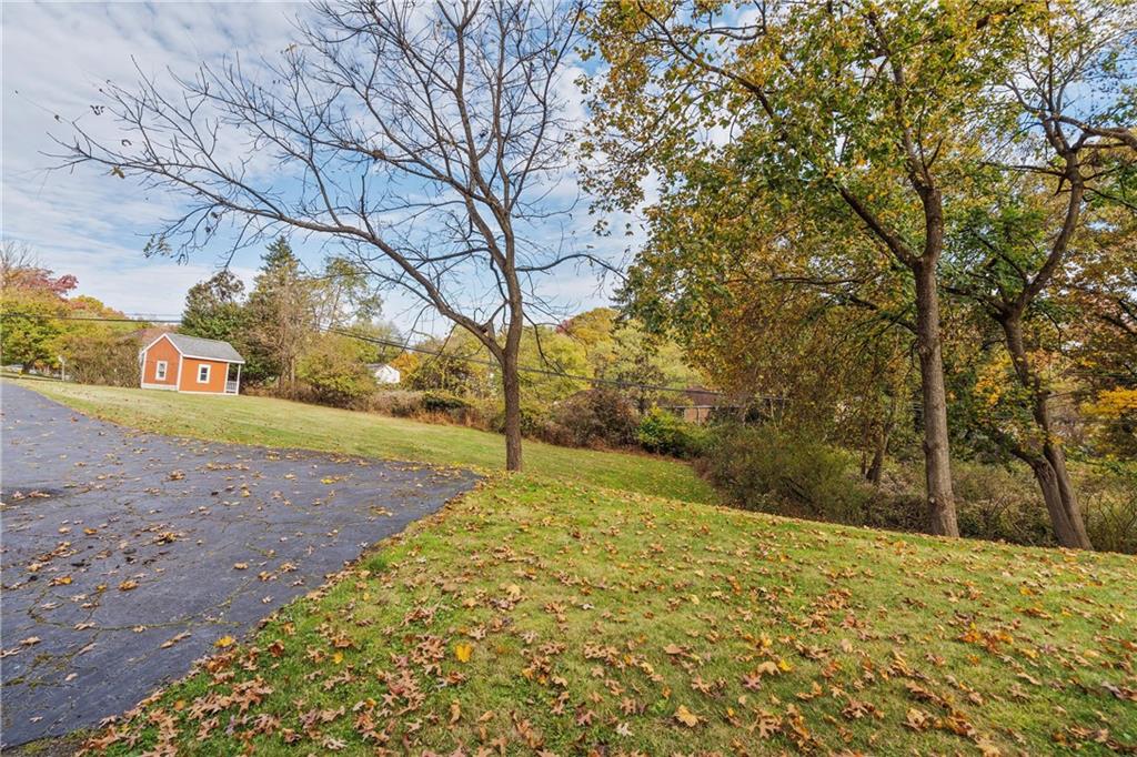 100 Circle Drive Pittsburgh, PA 15237 - Photo 28 of 31 a view of yard with large trees