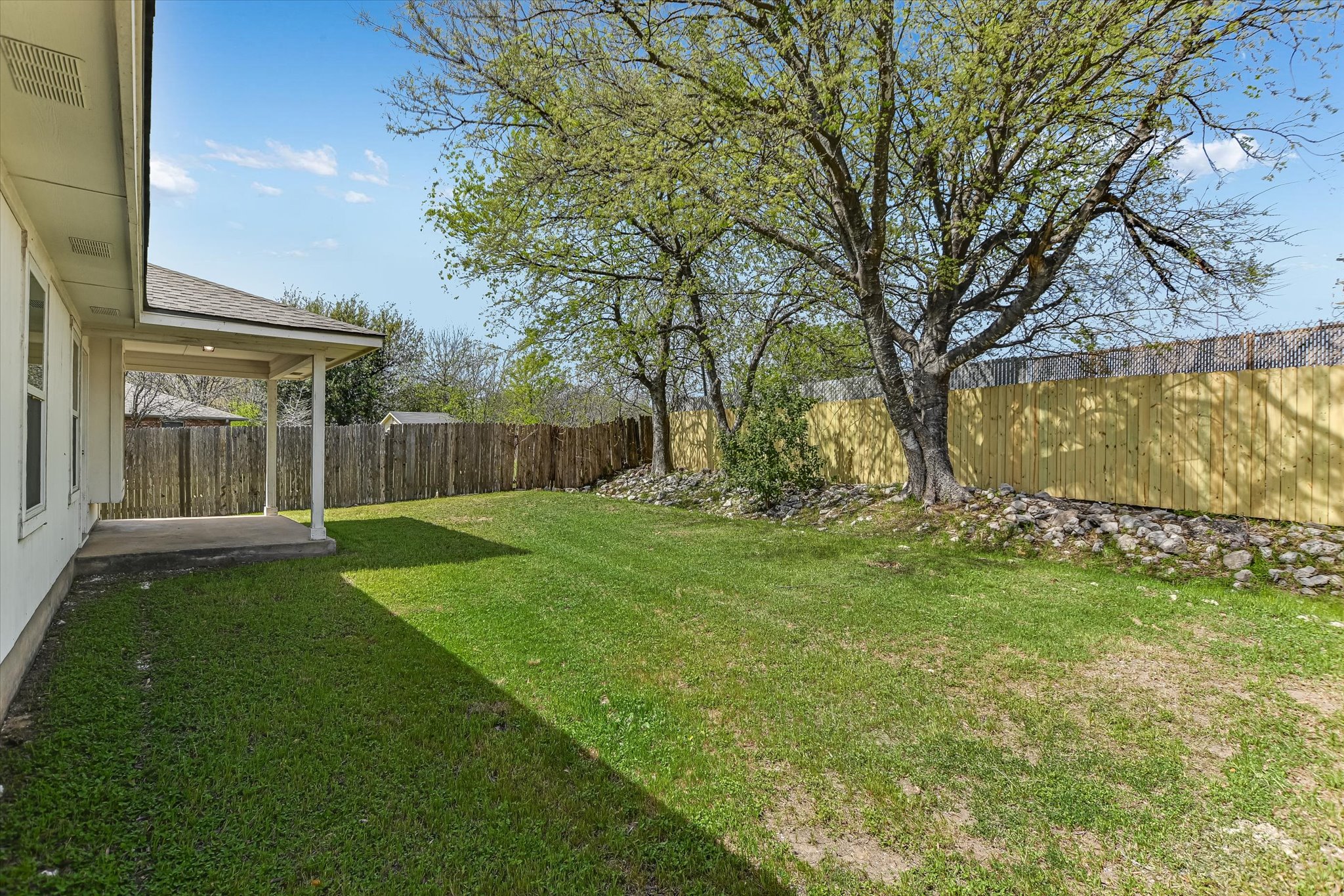 1520 Miss Allison's Way Pflugerville, TX 78660 - Photo 20 of 20 a view of backyard with tree
