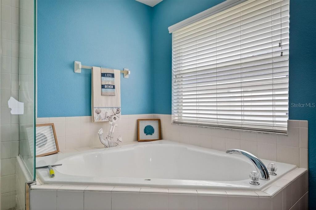 630 Fawn Ridge Drive Orange City, FL 32763 - Photo 32 of 55 a bathroom with bathtub and window