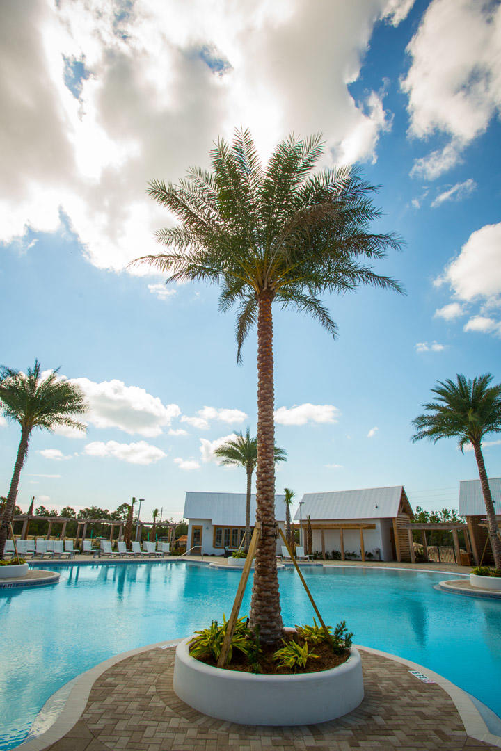 89 East Pine Lands Loop, Unit A Inlet Beach, FL 32461 - Photo 24 of 40 a view of a lake with a big yard and palm trees