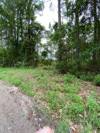 $49,900 | Xx Jer-Be-Lou Circle, Panacea, FL 32346
