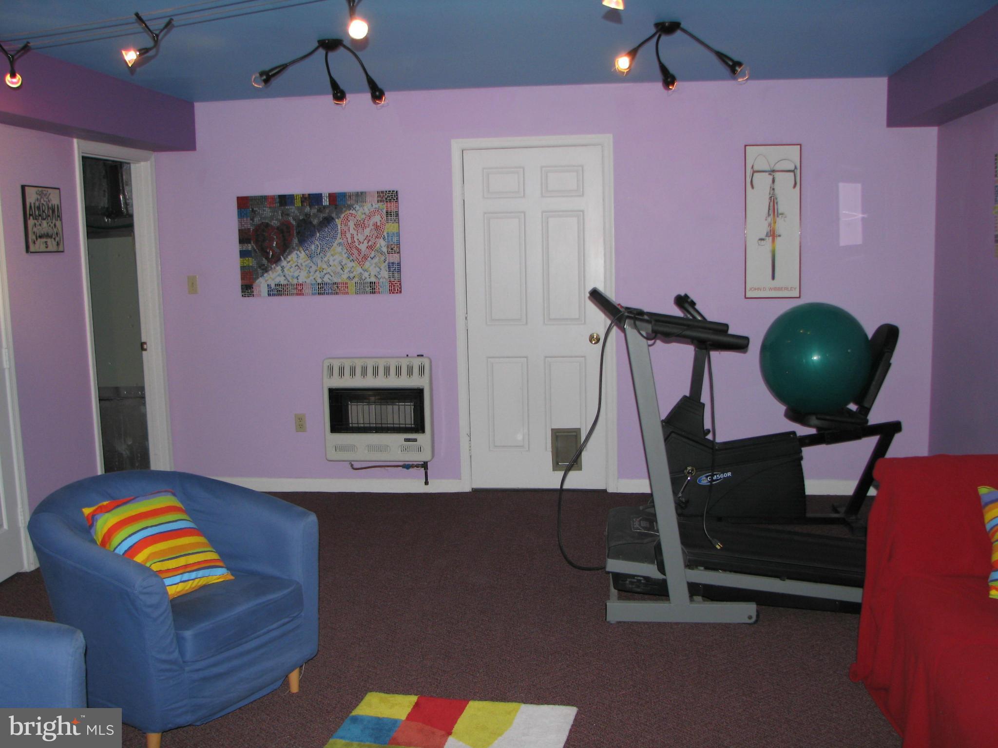 364 Steamboat Run Road Shepherdstown, WV 25443 - Photo 20 of 28 Basement