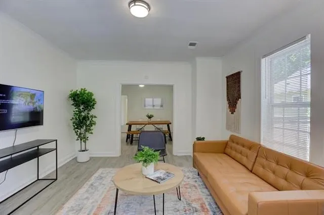 a living room with furniture potted plant and a window