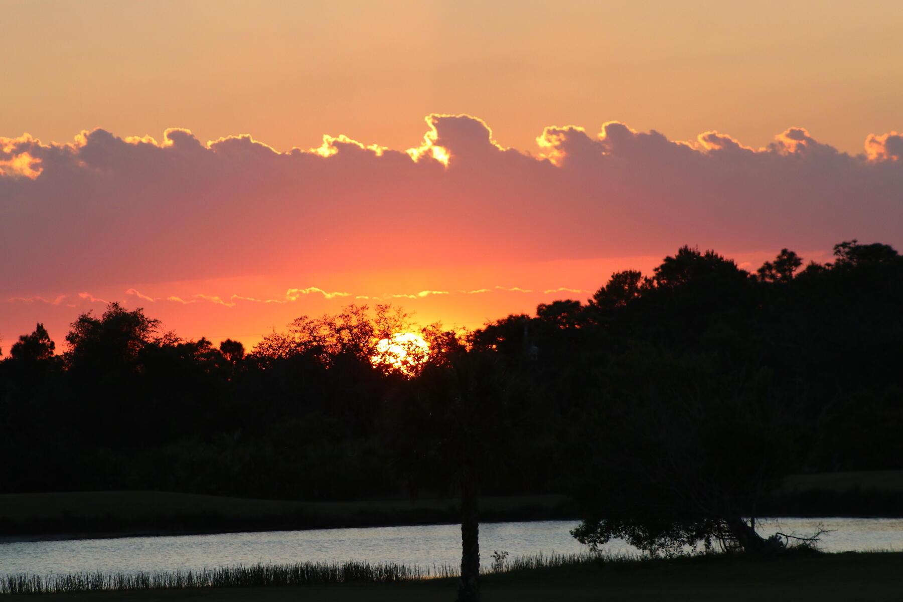 774 Gossamer Wing Way Sebastian, FL 32958 - Photo 23 of 23 IMG_7106az