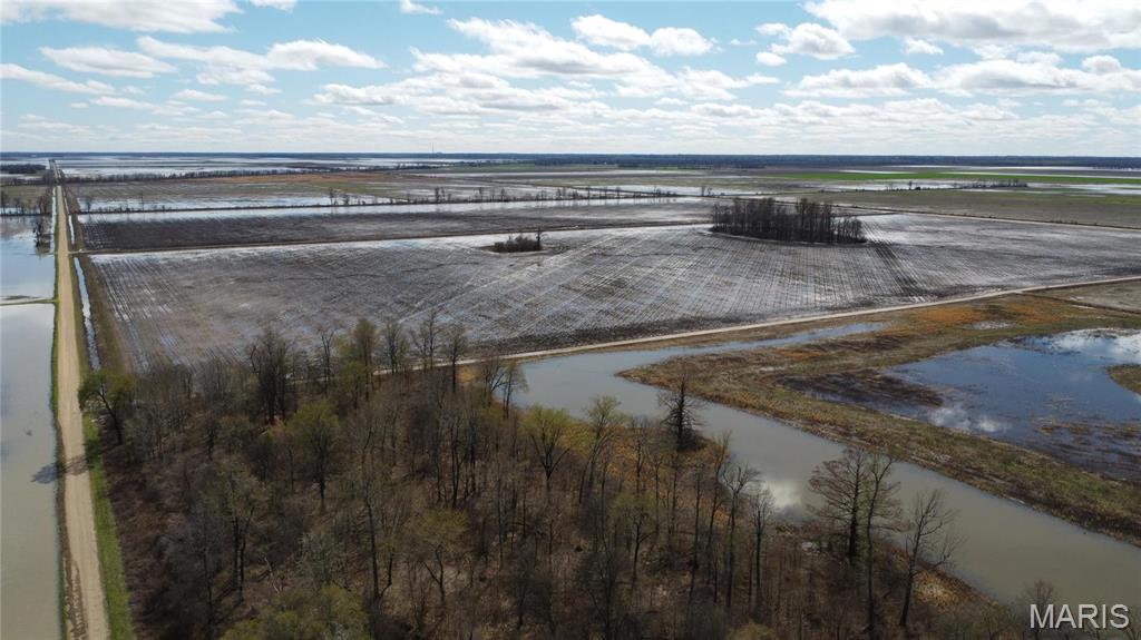 0 County Road 706 Matthews, MO 63867 - Photo 16 of 23