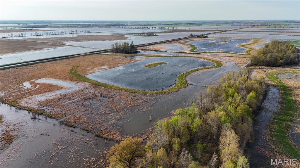 0 County Road 706 Matthews, MO 63867 - Photo 2 of 23