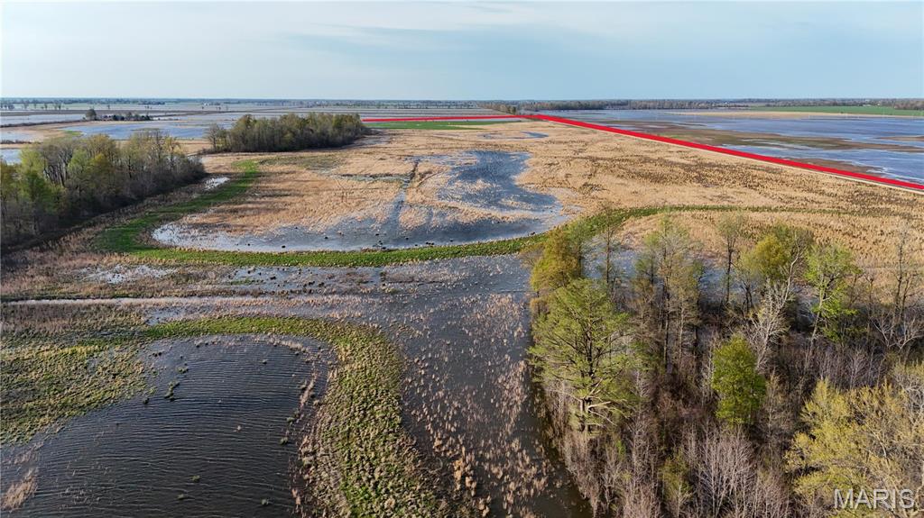 0 County Road 706 Matthews, MO 63867 - Photo 4 of 23