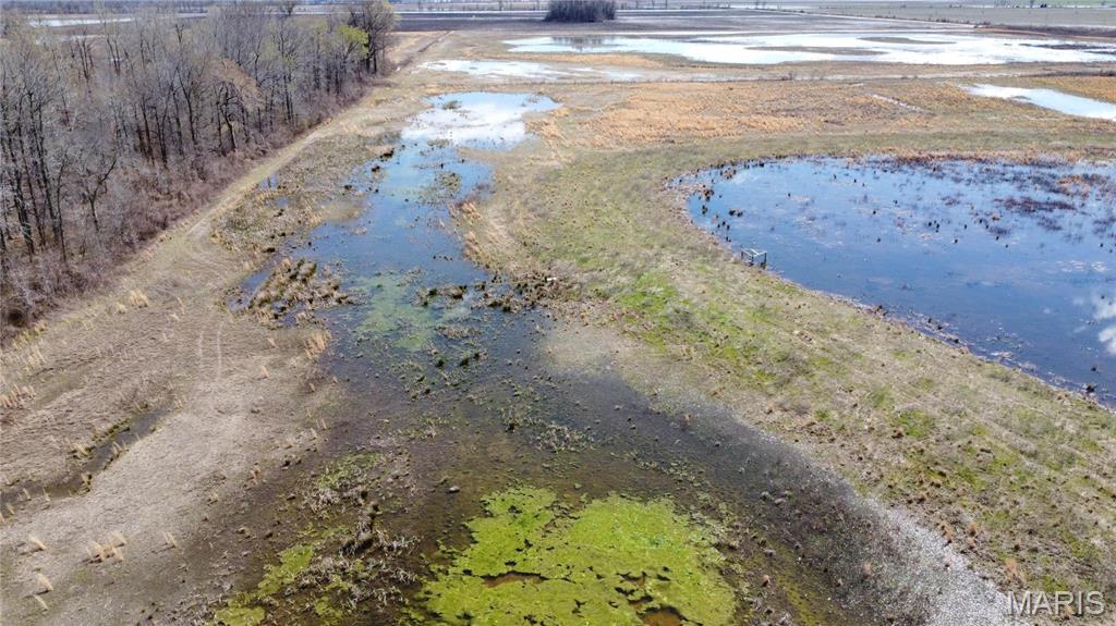 0 County Road 706 Matthews, MO 63867 - Photo 8 of 23