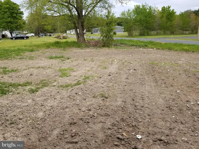 a view of a yard with of trees