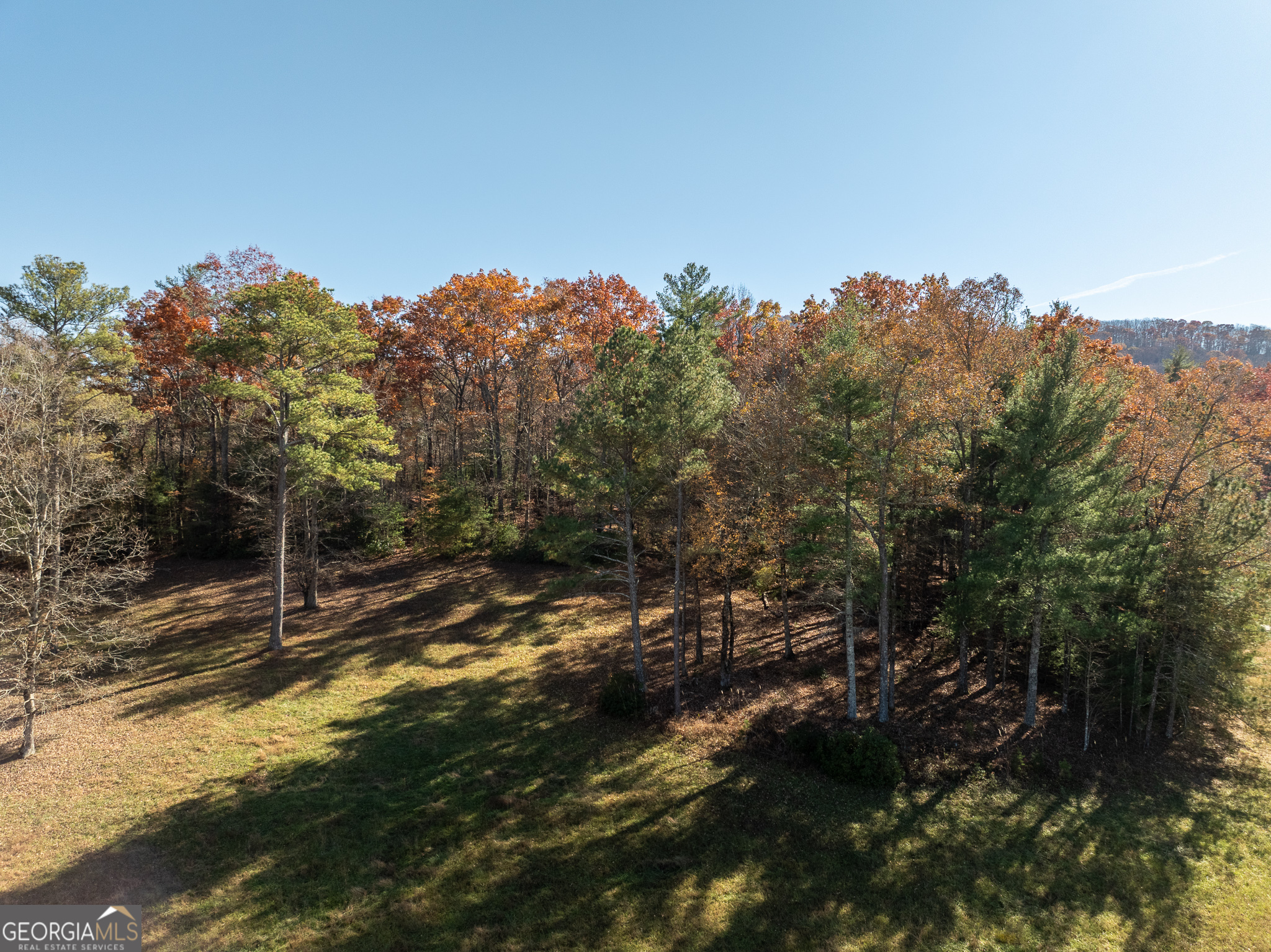 Lot 3 Spring Camp Road Ellijay, GA 30536 - Photo 15 of 43