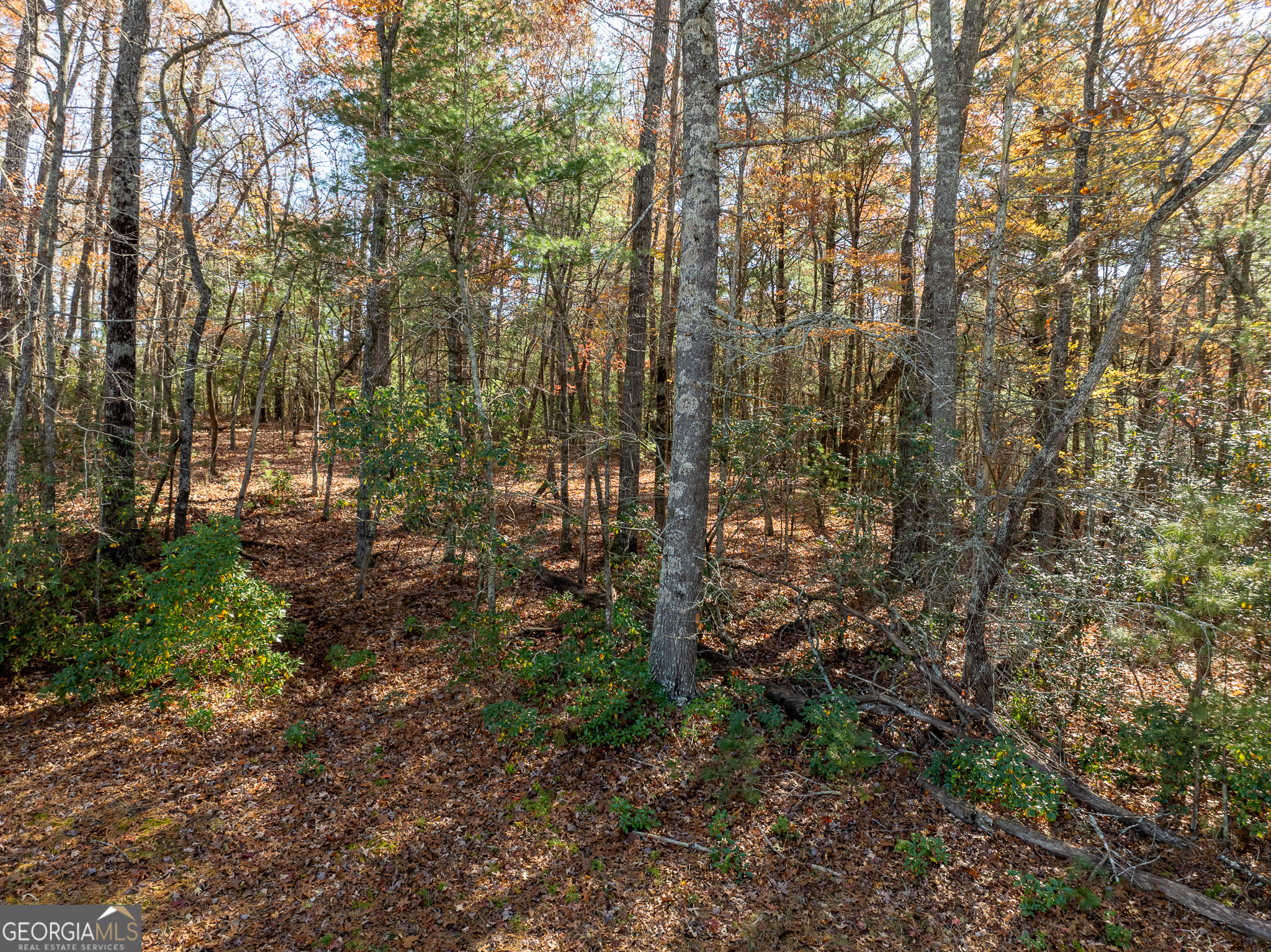 Lot 3 Spring Camp Road Ellijay, GA 30536 - Photo 18 of 43